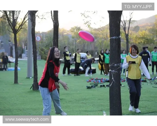 南京飞盘队的阵地战体系与飞盘战术的深度解析与应用探讨