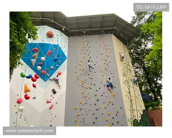 广州攀岩队团队协作的独特优势与其他队伍的深度对比分析