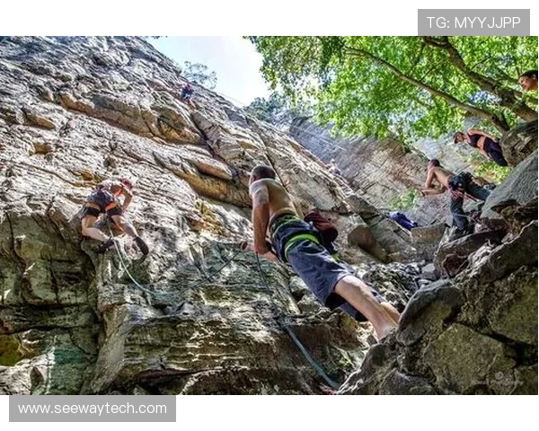 成都攀岩队在极限运动嘉年华中的心理素质表现分析与点评