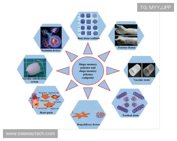 杭州乒乓球队技术深度解析：从训练方法到比赛策略的全面探讨