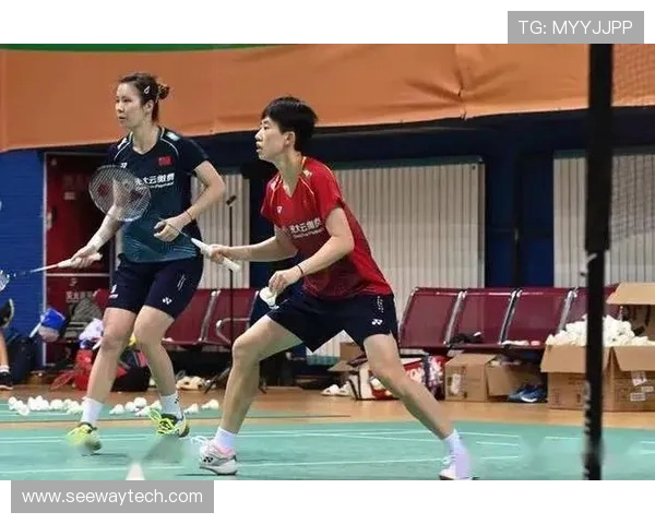 杭州羽毛球队与北京羽毛球队赛后复盘力量对比分析与战术探讨 杭州羽毛球队与北京羽毛球队赛后复盘力量对比分析与战术探讨