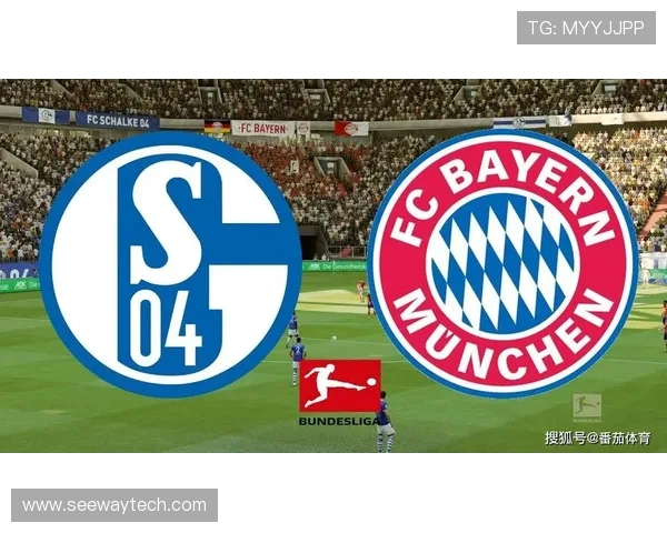 2017年拜仁慕尼黑与沙尔克04精彩对决回顾与分析