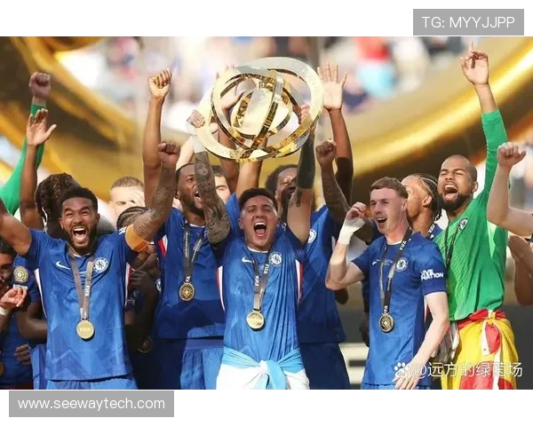 切尔西在欧冠决赛中的精彩表现视频回顾与分析