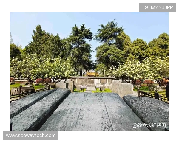 斯通斯的传奇之旅：探索音乐与文化交融的辉煌历史