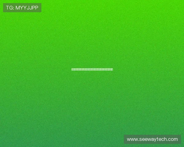 楚阿梅尼的崛起与挑战：探索这位新星在足球世界的未来之路