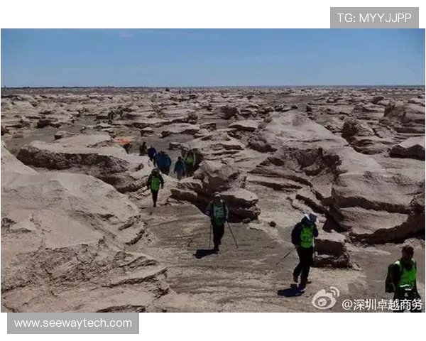王岚:从平凡到卓越的奋斗之路与人生感悟分享 王岚:从平凡到卓越的奋斗之路与人生感悟分享