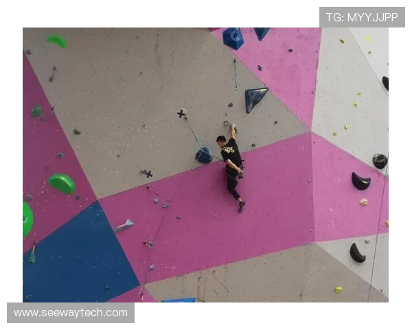 上海攀岩队在全国攀岩耐力排行榜中荣获第七名的佳绩引发关注